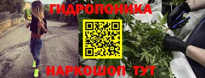 сатива Ливны