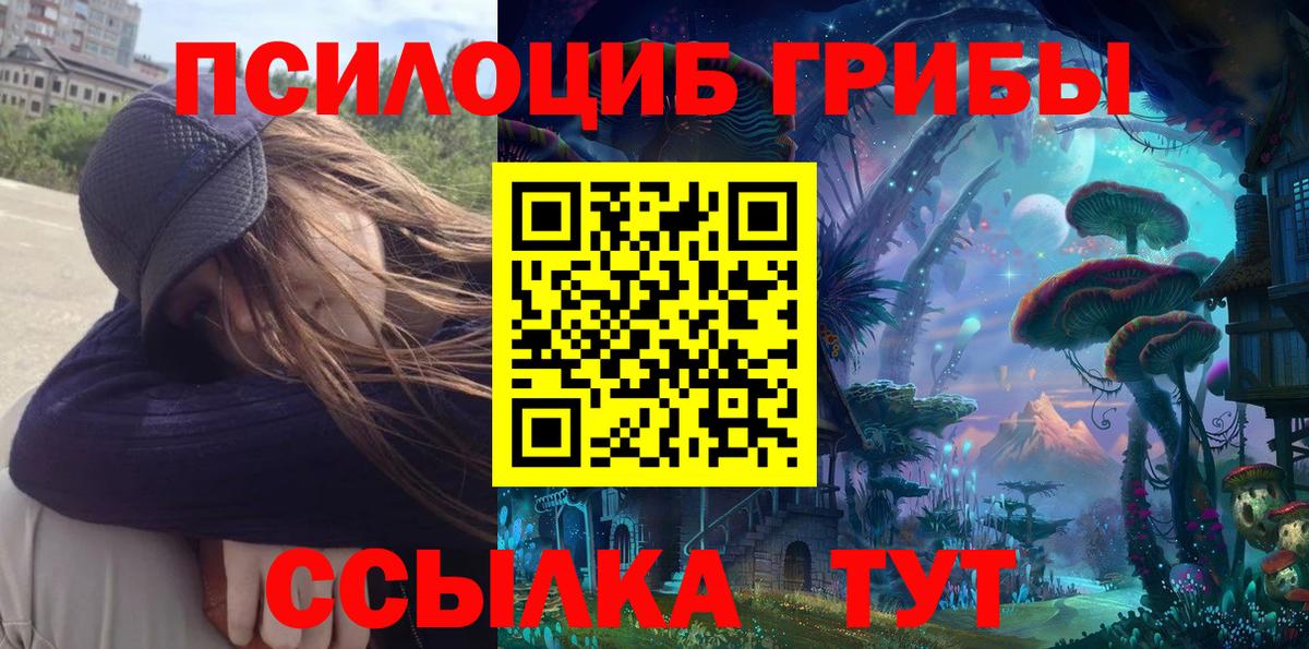 Галлюциногенные грибы Psilocybe Ханты-Мансийск