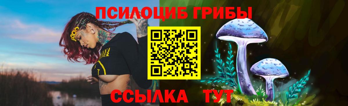 Ханты-Мансийск  Псилоцибиновые грибы прущие грибы  сколько стоит  Вход с VPN 